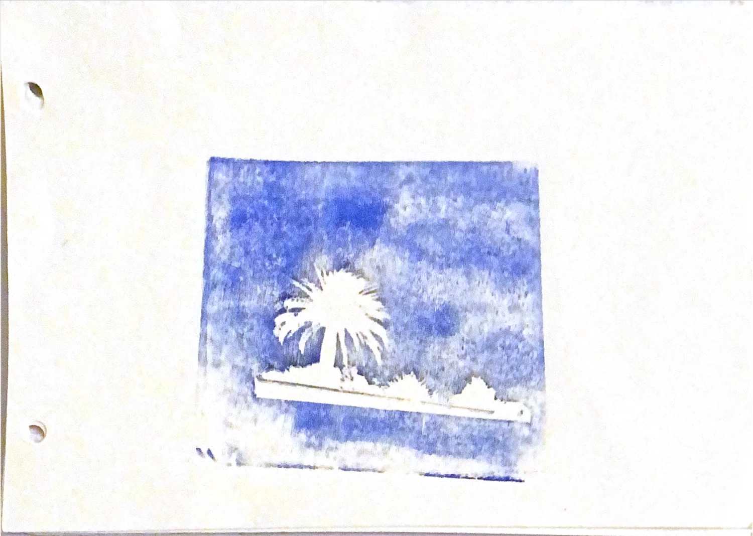 palms in memories — 5