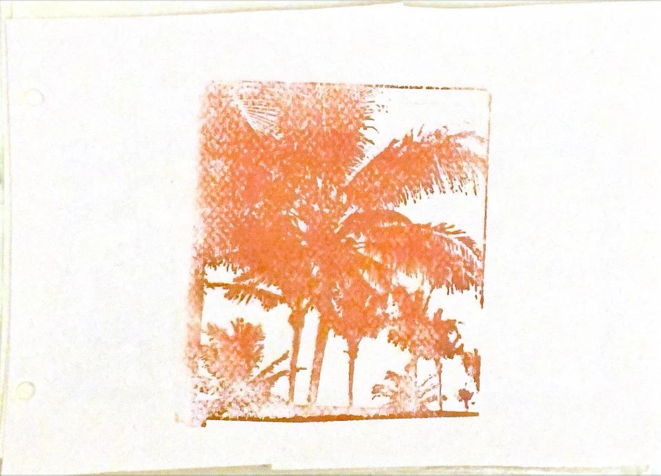 palms in memories — 24