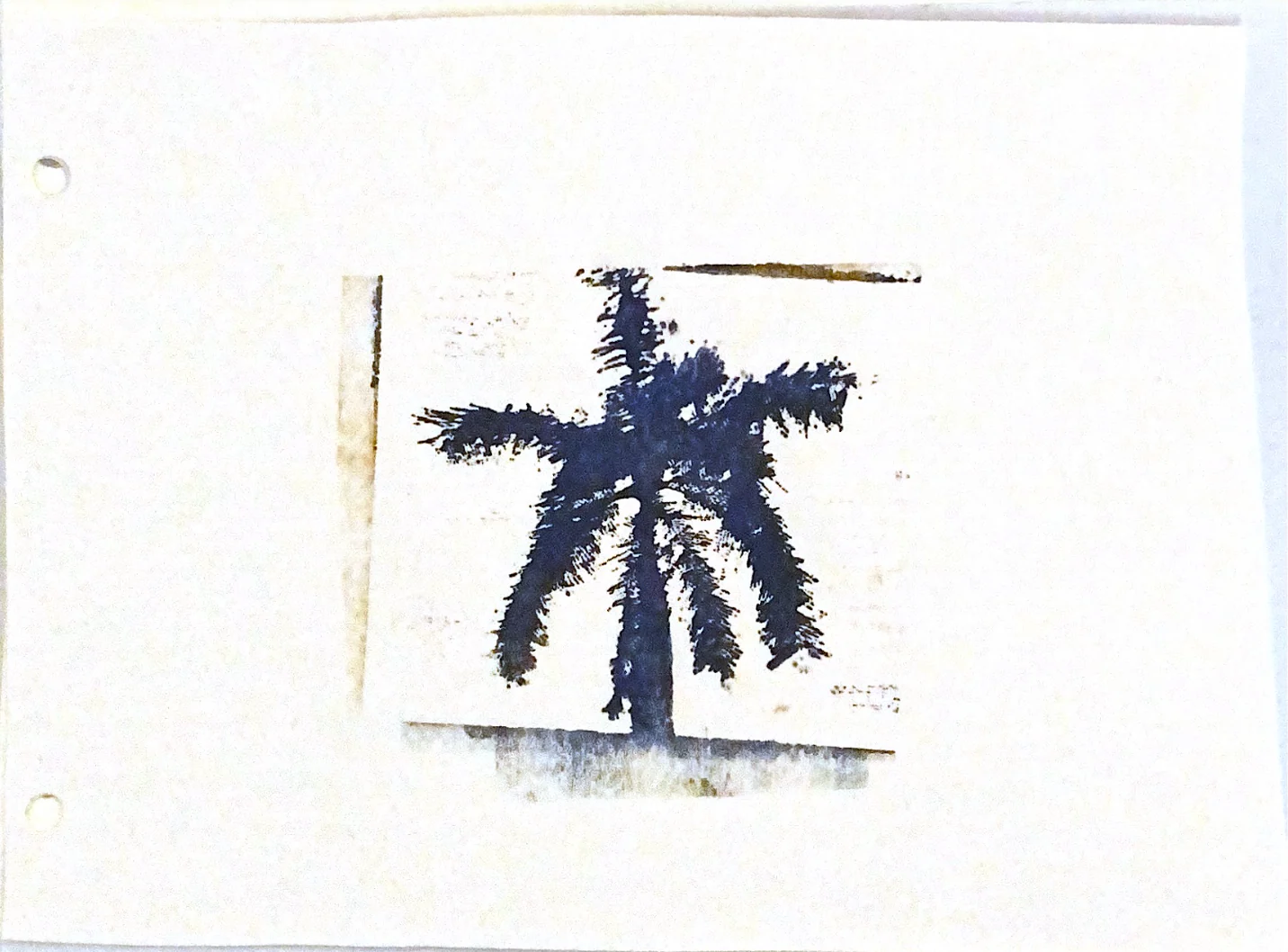 palms in memories — 10