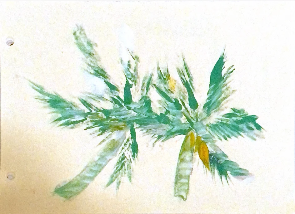 palms in memories — 17