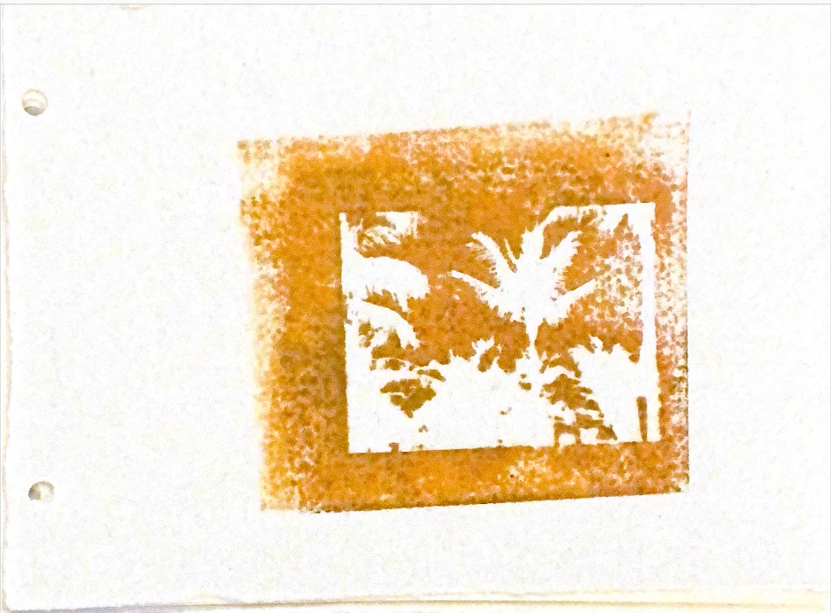 palms in memories — 15