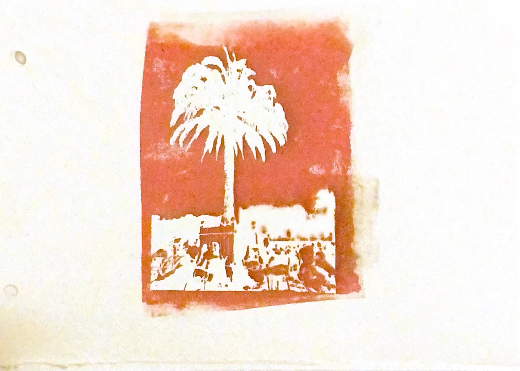 palms in memories — 32