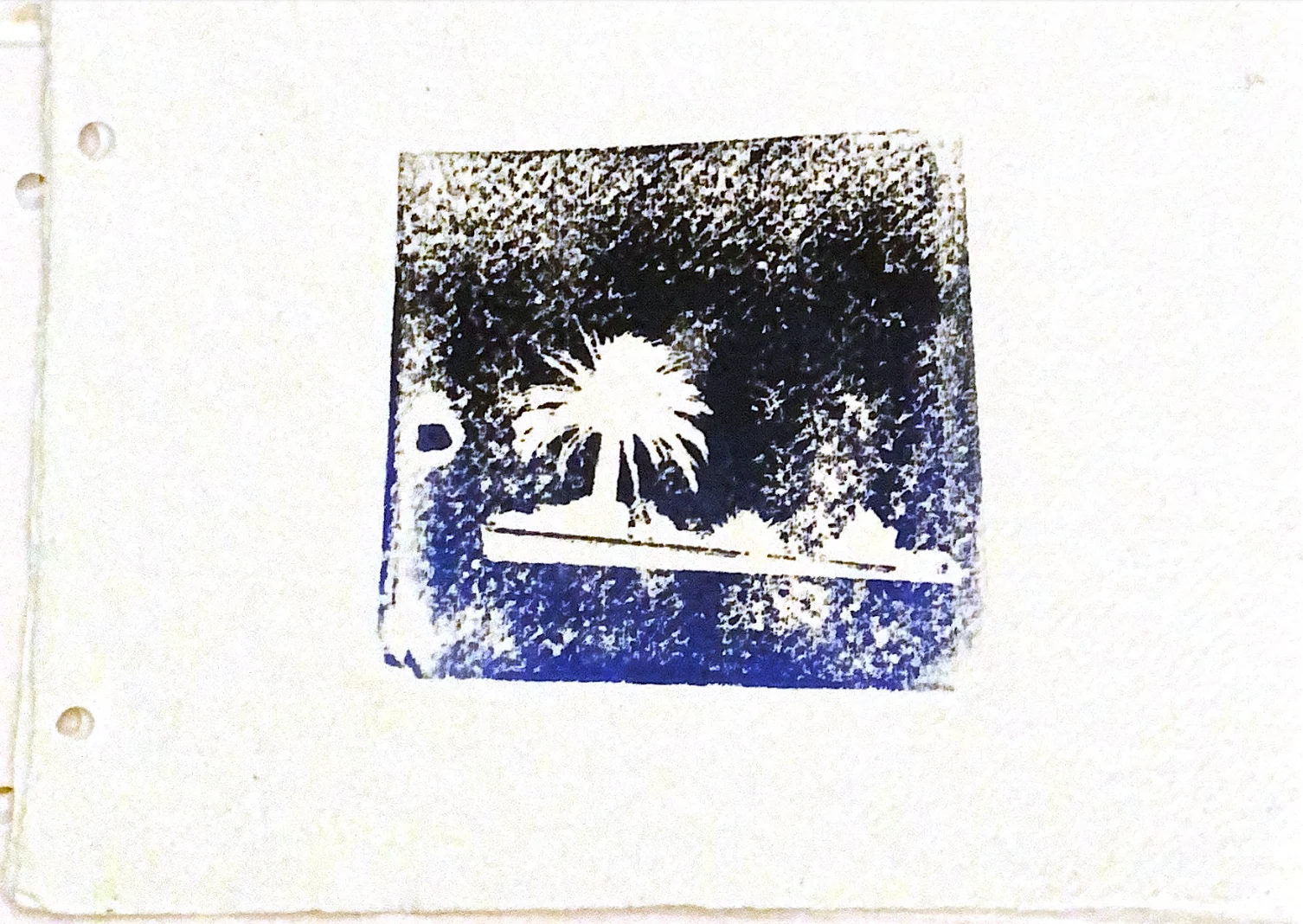 palms in memories — 7