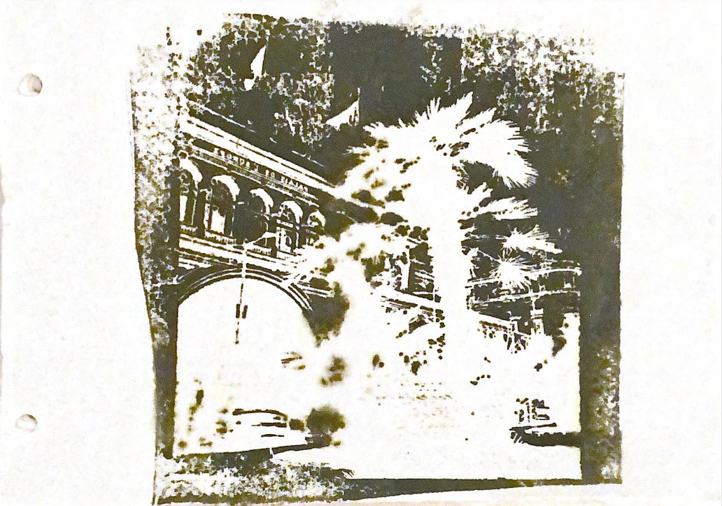 palms in memories — 27