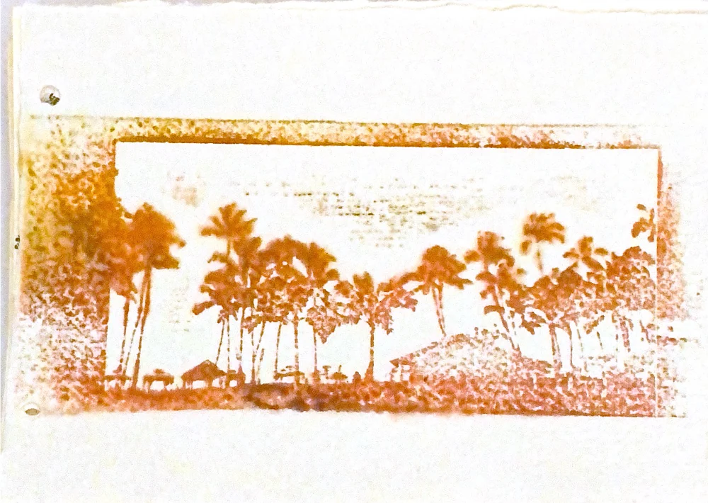 palms in memories — 28