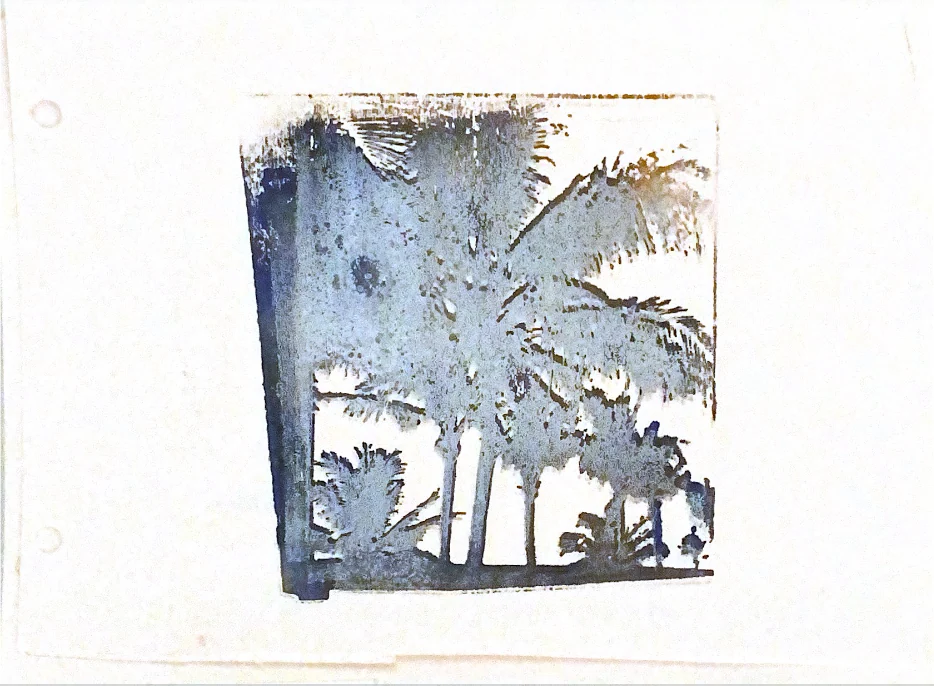 palms in memories — 23