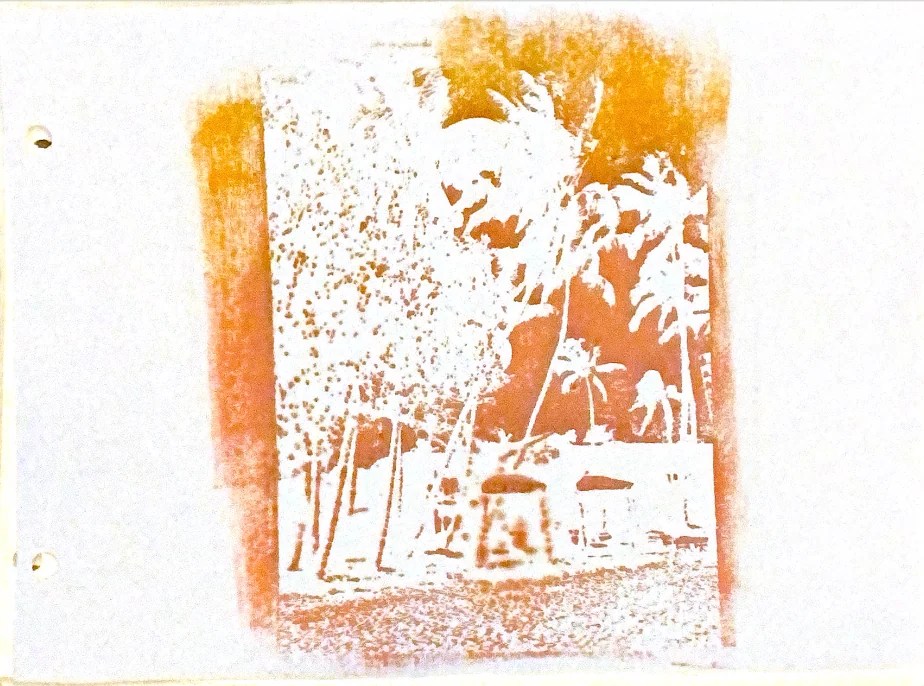 palms in memories — 19