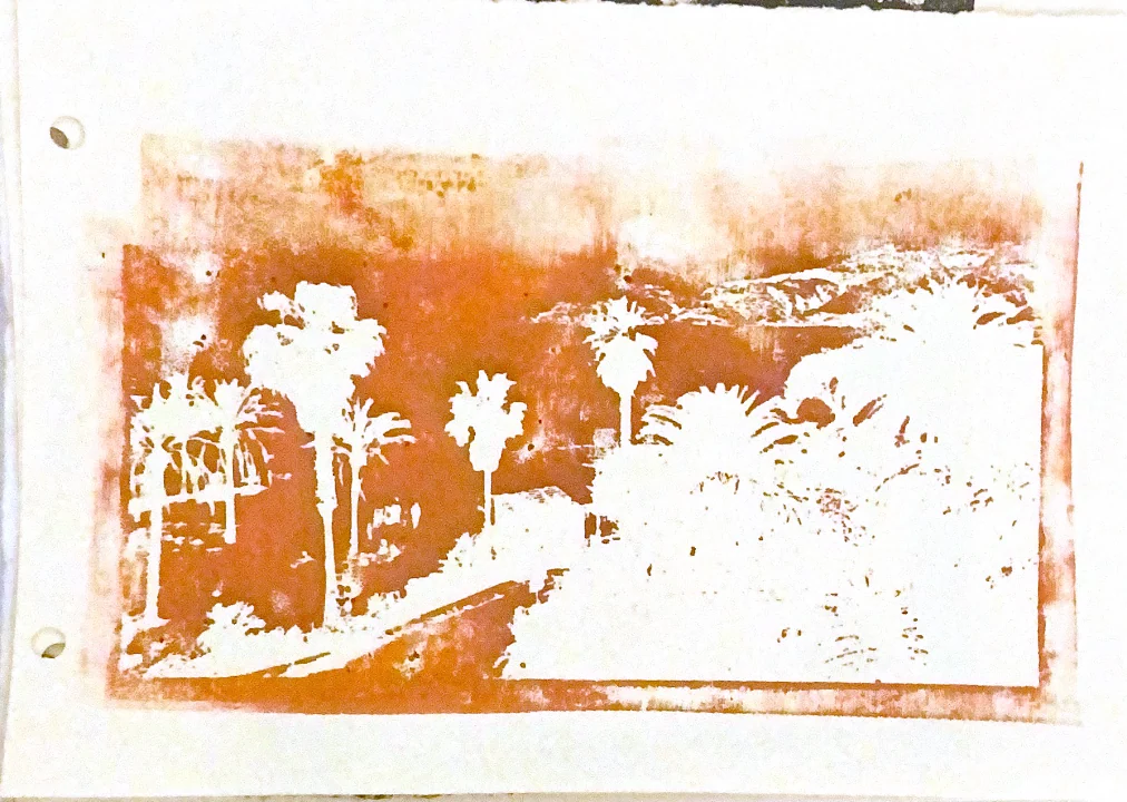 palms in memories — 25