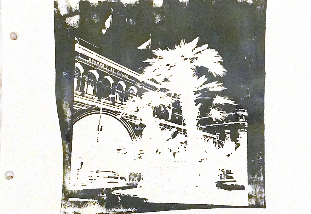 palms in memories — 26