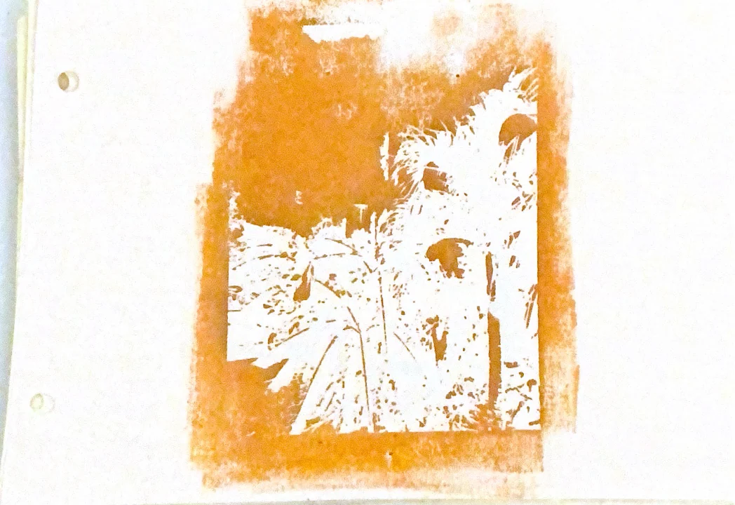 palms in memories — 31