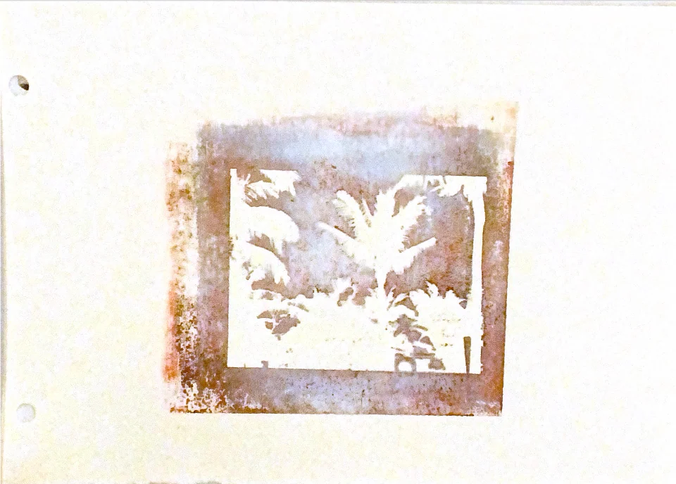 palms in memories — 14