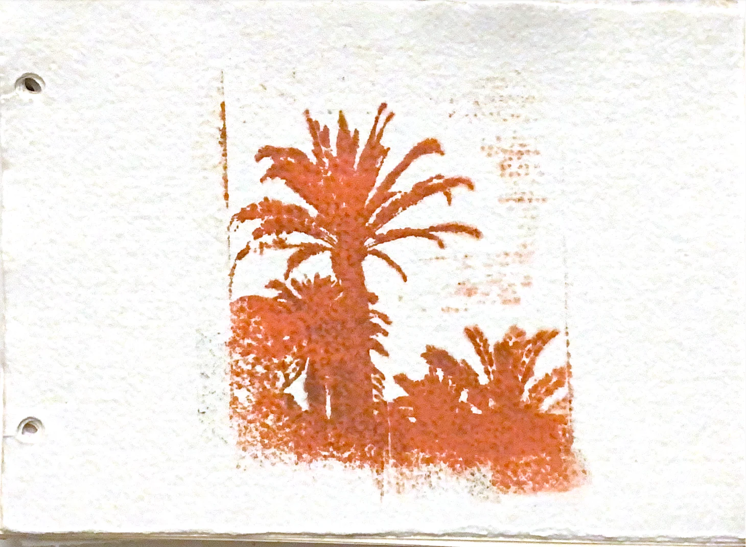 palms in memories — 2