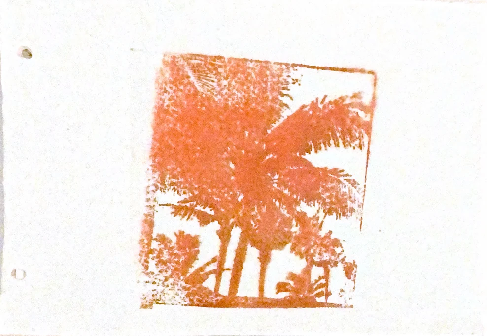 palms in memories — 22